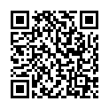 QR WEL STIBIUM METALLICUM PRA D6