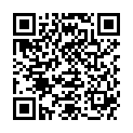 QR WELLSTONE MASSAGEROLLER HAEMAT