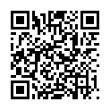 QR SCHAER QUADRITOS GLUTENFREI