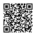 QR FEMADA LEBENSMITTELAROMA LIMET