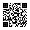 QR HERBA PUDERPINSEL VEG BUCHENHO