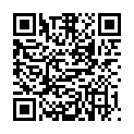 QR FURT STYLE STYLING SCHAUM