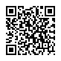 QR PHYTO INFIT EISEN-COMPLEX