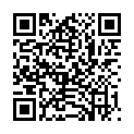 QR WEL ARGENTUM/STIBIUM