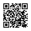 QR FURT STYLE FIXIERSPRAY