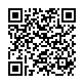 QR HERBA PINZ GERADE IN SCHWARZ