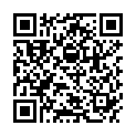 QR DV STEVEN LESEBR SCHWARZ 1.0