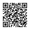 QR DIEM LESEBR ASPEN BR 2.5