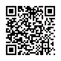 QR DIEM LESEBR PRAG SILBER 2.5