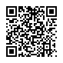 QR DIEM LESEBR PRAG SILBER 3.5