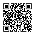 QR DIEM LESEBR PUR BLK 2.5