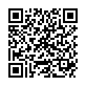 QR DIEM LESEBR PUR DEMI 2.5