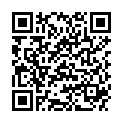 QR DIEM LESEBR ROM BRAUN 2.5