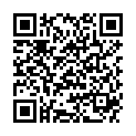 QR DIEM LESEBR ROM BRAUN 3.5