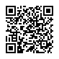 QR DIEM LESEBR SYDNEY GUN 3.5