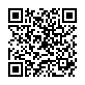 QR DIEM LESEBR TURIN 2.5
