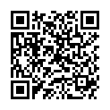 QR DIEM LESEBR TURIN 1.5