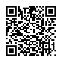 QR LUCIDO MOEBELPFLEGEMITTEL