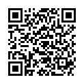 QR NICOLE DIEM LESEBR SISL BL 1.5