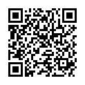 QR SYOSS HAAR MASCARA DUNKELBLOND