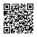 QR Sonnentor Kirschstein Kissen Gross