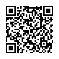 QR PHYTODOR CHAKRA OEL HERZ