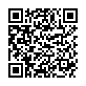 QR HAGERTY JEWEL CLOTH 30X36CM