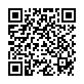 QR BORRETSCH BUCH DAS BLAUE WUND