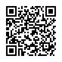 QR SYOSS SALONPLEX INT AUFBAU-KUR