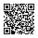 QR SEROLAB AMBRA GRISEA C15