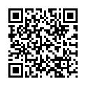 QR BZ MAKE-UP PINSEL KLEIN LANG