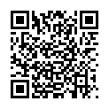 QR CARNEVAL FETTSCHMINKE SILBER