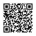 QR SHUYAO TEEKULT 113.INGWER APFE