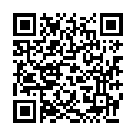 QR TAOASIS DUFTSTEIN TELLER GRUEN