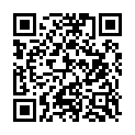 QR HOLUNDERBLUETENSIRUP  BIO  PET