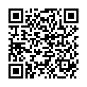 QR PANASONIC HOERGER BATTERIE 675