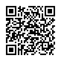 QR STAHLWOLLE 3 MITTELGROB