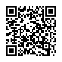 QR CARNEVAL SCHMINKPINSEL FEIN