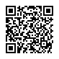 QR SONNENTOR HOLUNDERBLUETEN TEE