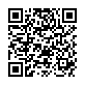 QR STARWAX FUGENBUERSTE