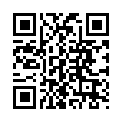 QR TOKIWA TEEBEUTEL OCHA