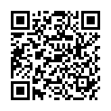 QR AMBIANCE DUFTOEL LOSE OPIUM