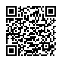 QR ISOLA BIO HIRSE DRINK TETRA