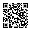 QR PAD ORIGINAL PFANNENREINIGER