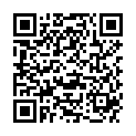 QR WERZ REIS KUCHENSCHNITTE GLUTE