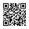 QR BZ HAARGUMMI SCHWARZ