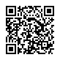 QR PARI LUFTSCHLAUCH Z 037-38,085