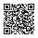 QR Phytomed Schussler Taschenapotheke Ass 12 штук