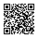 QR DIXA EQUISETI HERBA CONC