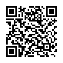 QR Метамуцил Регуляр 336 г